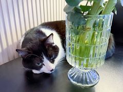 -路易时光(蕴川路店)