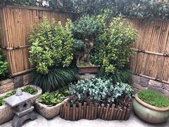 景观位-大牌大·传统杭帮菜(湖滨店)