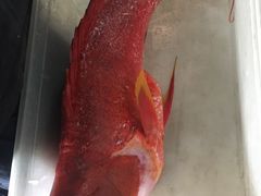 -毛里求斯小四川餐厅总店