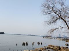 -长广溪湿地公园