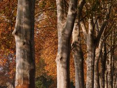 -河南省黄河迎宾馆