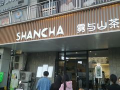 -雾与山茶(大禹城店)