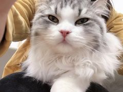 -猫腻·猫咖·撸猫馆(星光大道店)