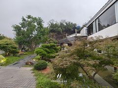 -雅苑中餐厅