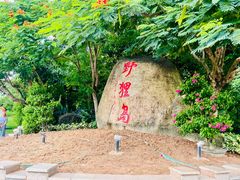 -野狸岛