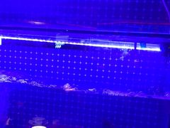 -蜀香三绝·牛蛙·烤鱼·天府炒鸡(安丘泰华店)