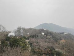 -紫金山山顶公园