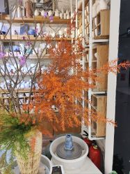 -今日陶艺(富力广场店)