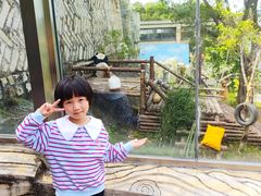 -泉州海丝野生动物世界