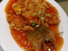 松鼠鱼-黑石礁酒楼·海鲜(黑石礁店)