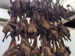 -鸽鸟轩(石岐店)