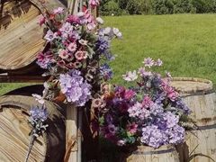 -安德鲁户外烧烤帐篷营地(马泉营店)