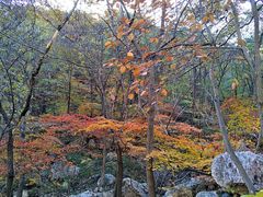 -大连天门山国家森林公园