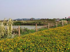 -光明小镇欢乐田园