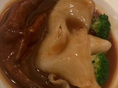 花胶鹅掌-宝丽轩中餐厅BAOLIXUAN