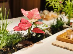 -叶叶菩提·晋福宫