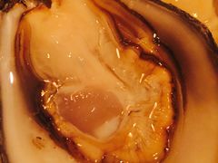-斯普汇生蚝牛排馆(中骏世界城店)