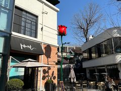 -Madeleine玛德琳(永平里店)