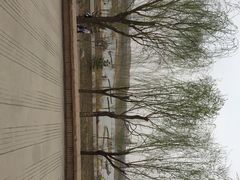 永定河休闲森林公园-永定河休闲森林公园