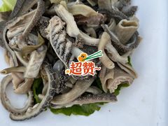 -墨脱石锅椰子鸡•香草鸭•东山羊(大东海店)