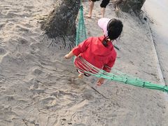 -东郊椰林