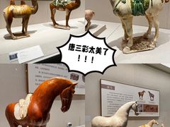 -深圳博物馆(古代艺术馆)
