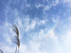 -山王坪喀斯特国家生态公园
