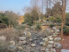 -宝界山林公园