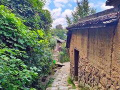 -杨家堂村
