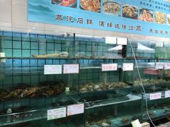 水产区-海岛渔村大酒店(云霄路店)