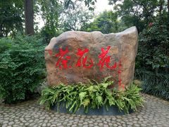 -金花茶公园