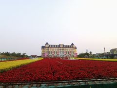 -百万葵园