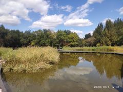 -长白岛森林公园