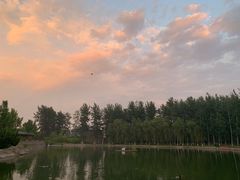 -中家鑫园温泉酒店鑫悦汤泉