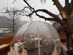 -京北渔家傲