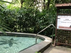 -丰泰花园酒店热矿泉