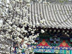 -护国法轮寺
