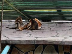 -北京野生动物园