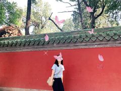 -北京国子监胡同
