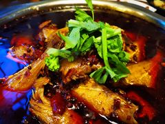 极品耗儿鱼-川东长筷子耗儿鱼(万象润街店)