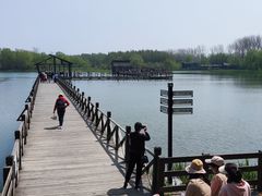 -溱湖国家湿地公园