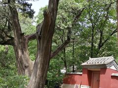 -北京上方山国家森林公园