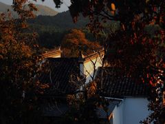 -塔川景区