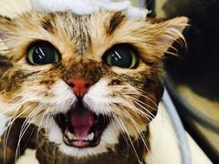 -很久以前羊肉串(农科路店)