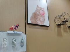 -半岛宠物医院24小时(西派城店)