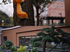 -泰康之家·锦绣府