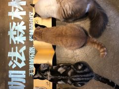 -咖法森林·咖啡  酒吧(天河店)