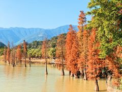 -星湖旅游景区七星岩