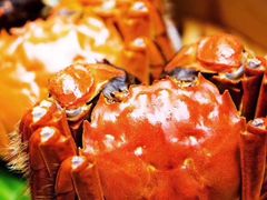 -智民小馆·佛跳墙(东岸国际店)