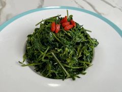 养生枸杞苗-老毛手抓·盐池滩羊非遗手抓(宁夏总店)